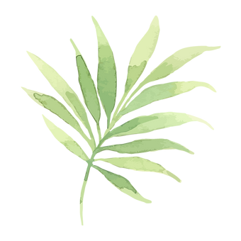 Folhas tropicais 2