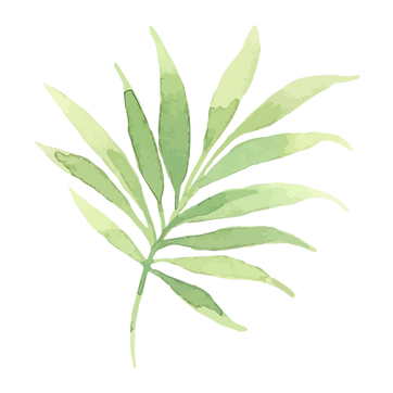 Hojas tropicales 2