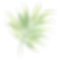 Ilustração de folha verde