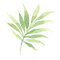 Tropical Leaves 2