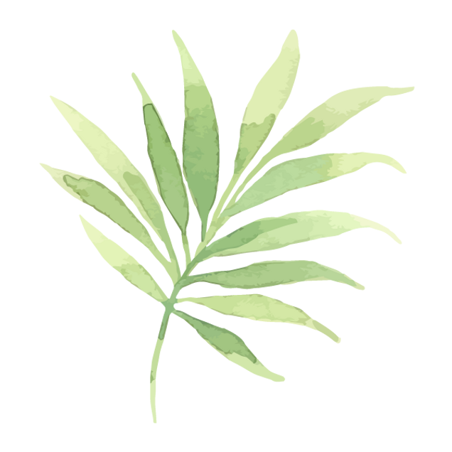 Les feuilles tropicales 2