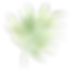 Tropical Leaves 2