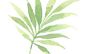 Tropische Bladeren 2