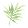Tropical Leaves 2