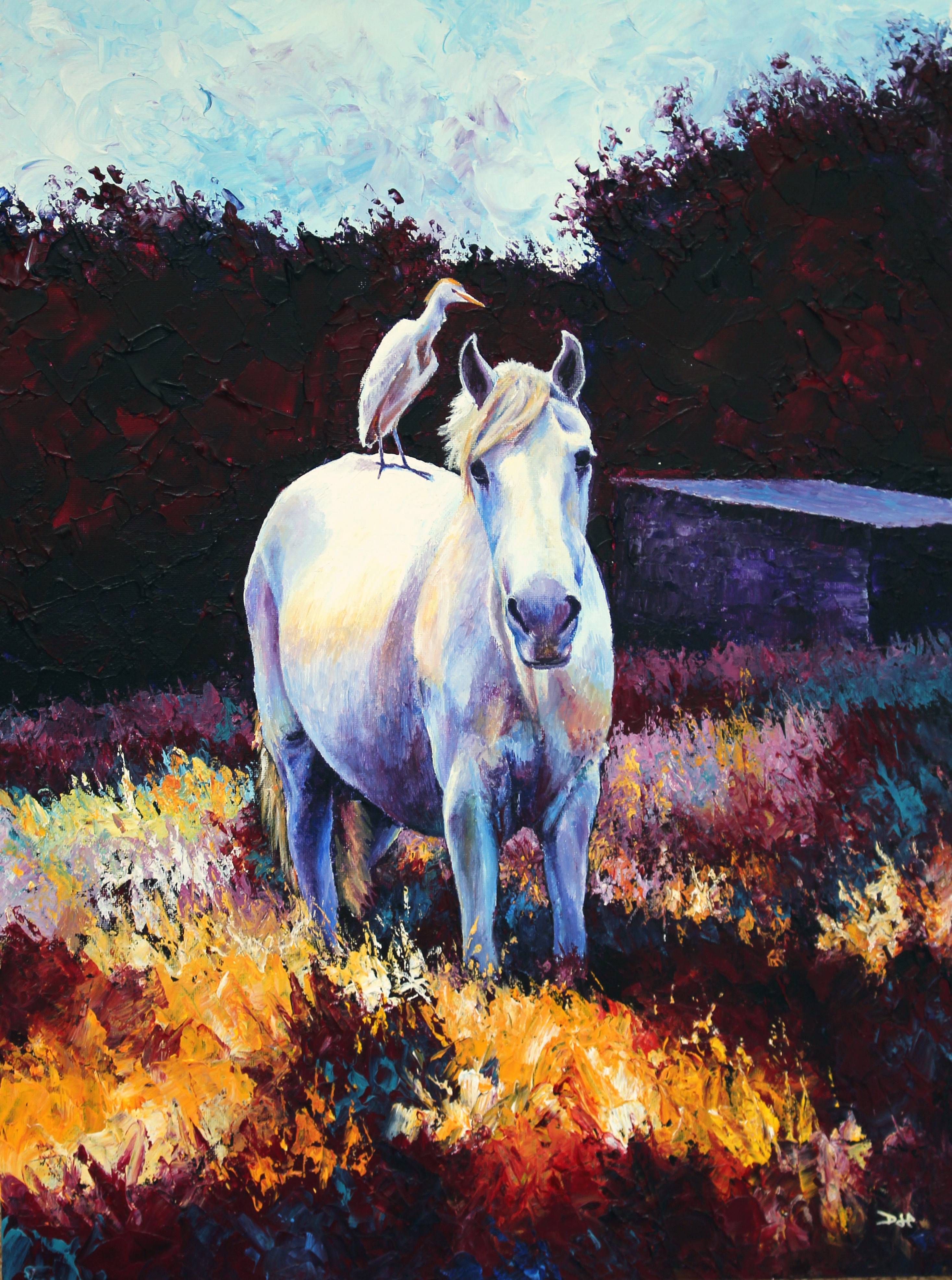 Horse & Rider