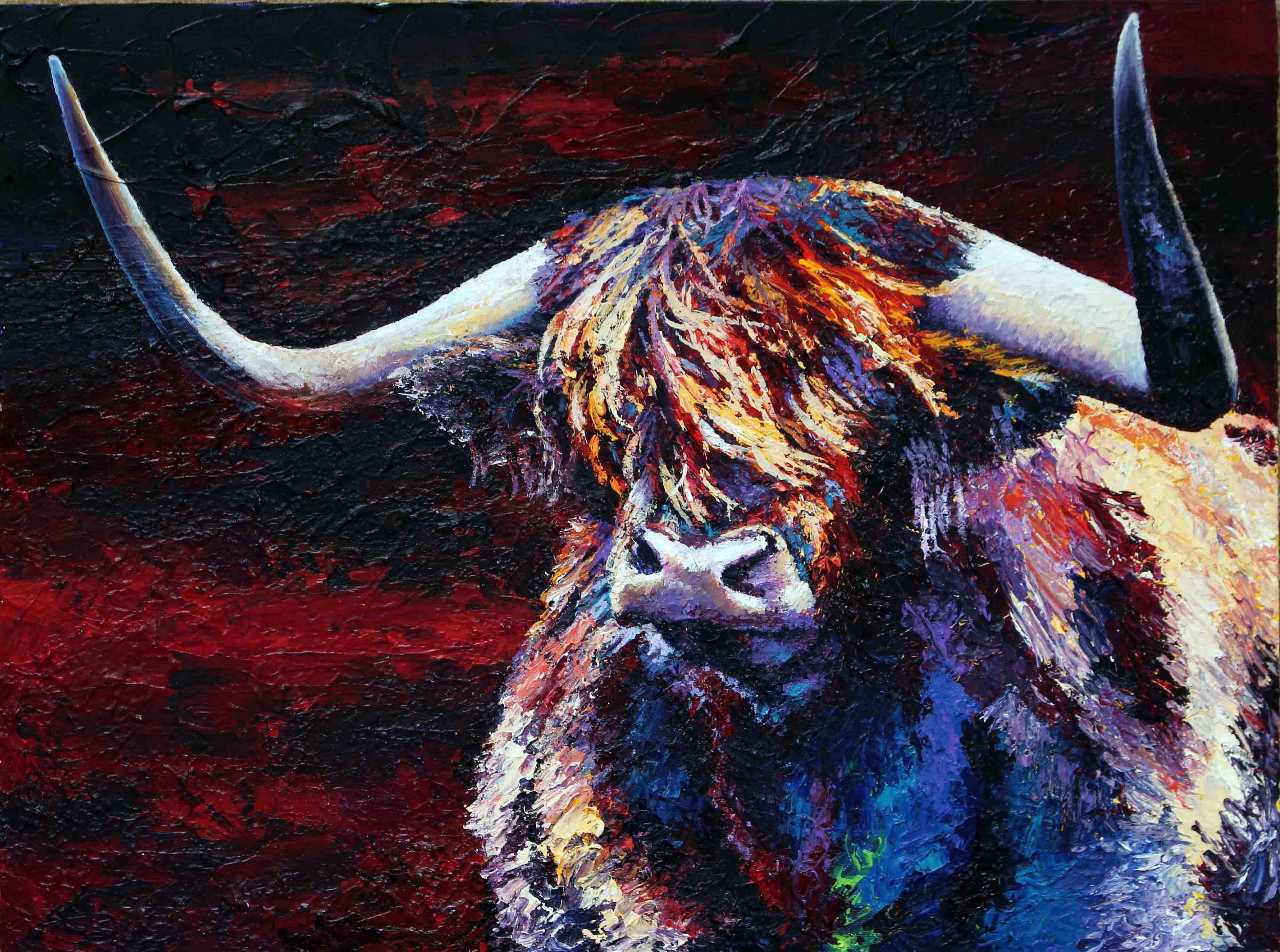 Angus