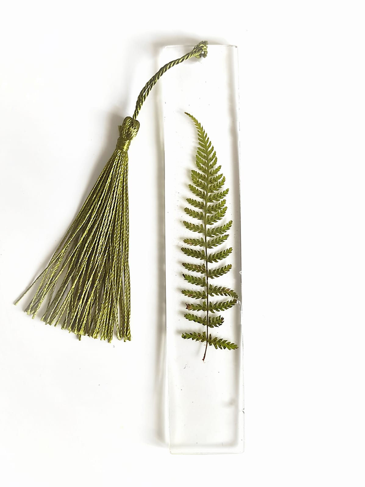 Marque Page fougère