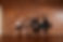 olina_230108_0023.jpg