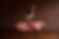 olina_230108_0051.jpg