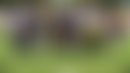 Peloteo | Apelación Sr
