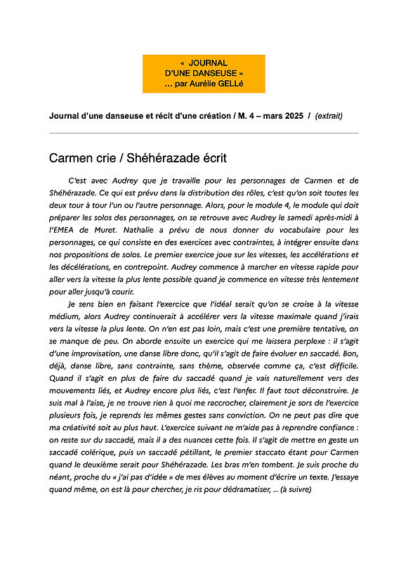 journal danseuse page 1 SITE.1.jpeg