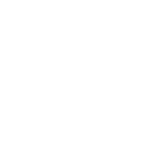 anna mini logo 1.png