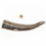 Thumbnail: Herders Choice - Dried Goat Horn Large - Light Weight 1pc (山羊角"大型輕身" 200-249gm)