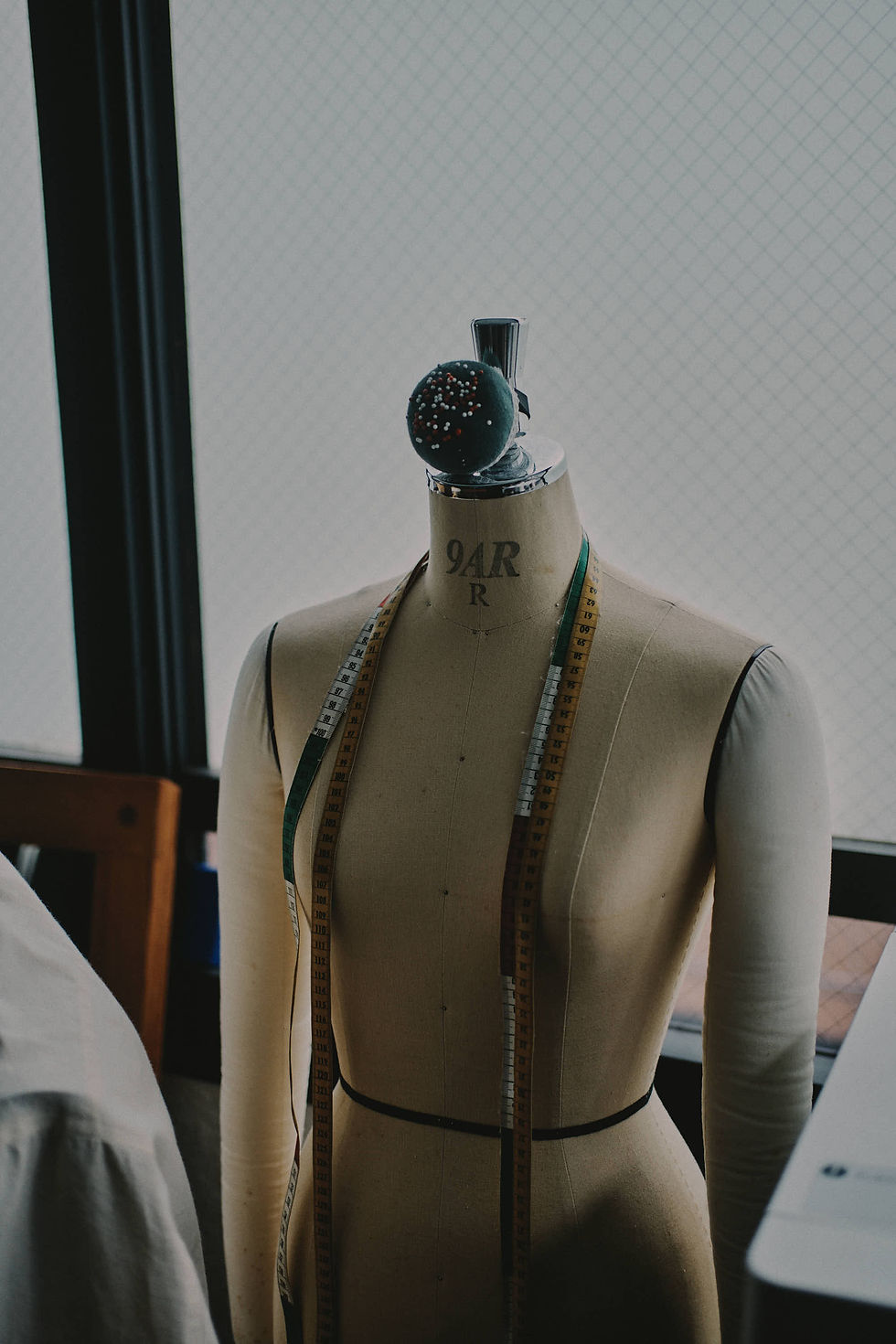 torso image