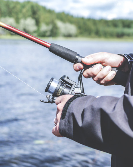 Pesca del Día