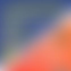 TCL Season-Opening 2026