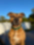IMG_3641.jpeg