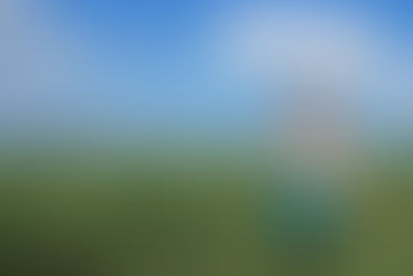 Haushaltshilfe nach dem Kinder- und Jugendhilfegesetz
