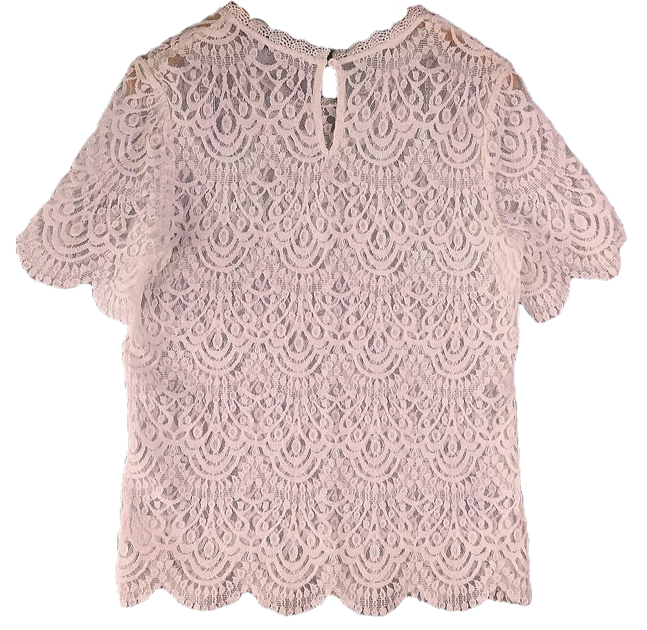 Thumbnail: Decjuba Mia Lace Top sz 10