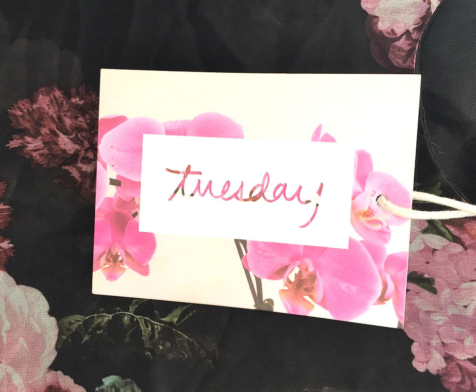 Thumbnail: Tuesday Label Brie Dress sz 10