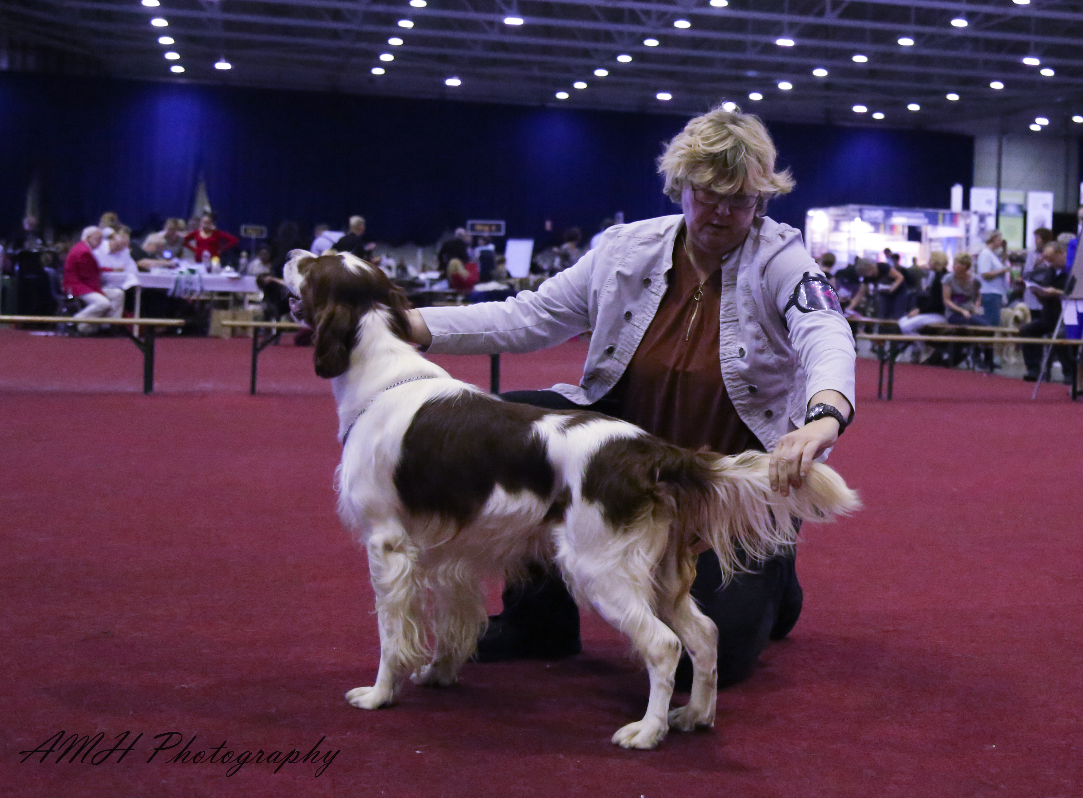 Walker Benelux W 17