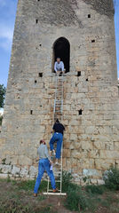 torre_scala_Angelillo.jpeg