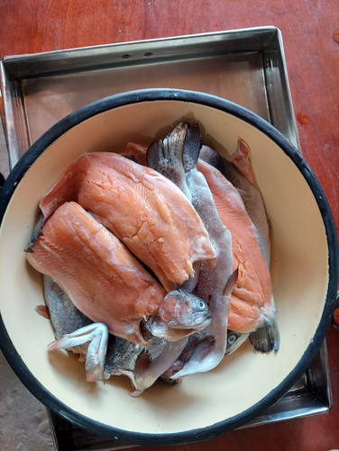 Fish