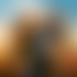 What To Watch December 2025: The Most Anticipated Shows Ranked