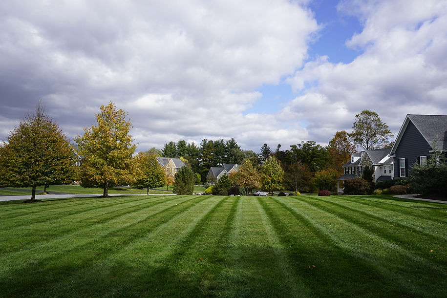 _DSC6240.jpeg
