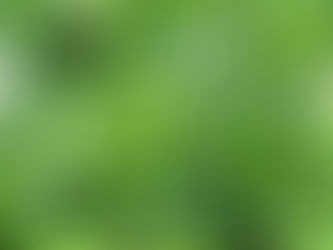Rezept der Woche 23