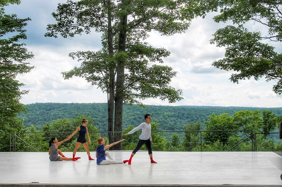 danzante - Jacob's Pillow