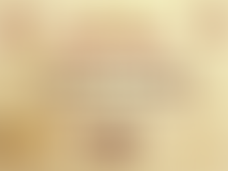 農曆新年休息時間