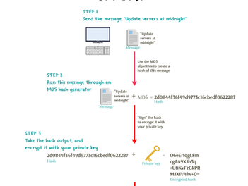 Digital Signature Process and PDF