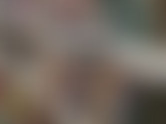 CISSP Study Plan – Day 48 of 55 | Baselines, Procedures, Standards, and Policies