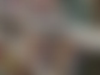 CISSP Study Plan – Day 48 of 55 | Baselines, Procedures, Standards, and Policies