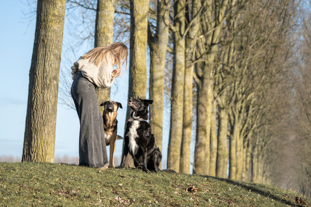 wandelen met hond Terneuzen