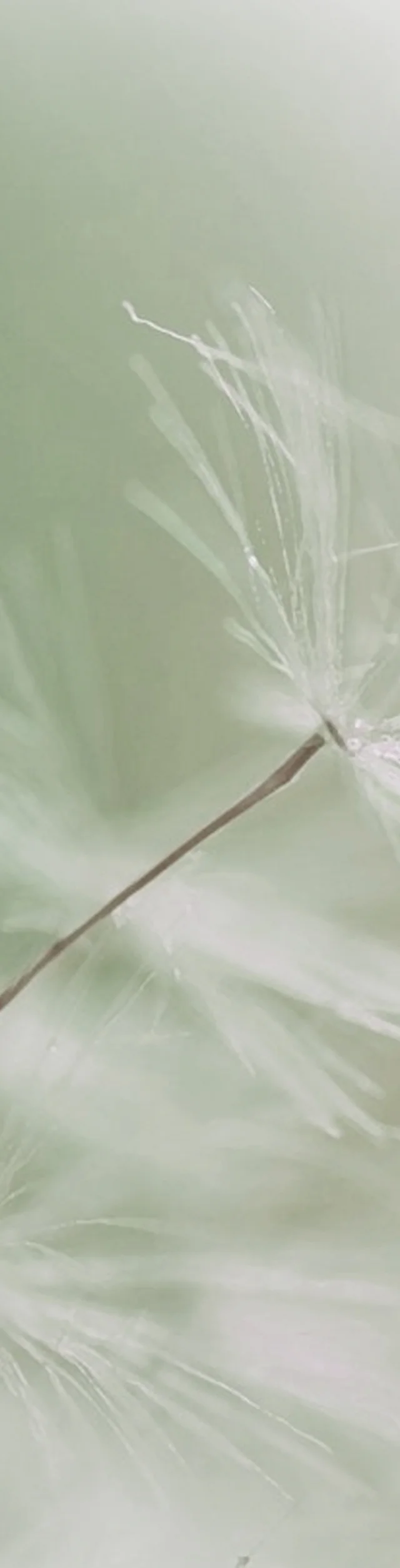 心理醫生香港 臨床心理學家推薦 張傳義博士