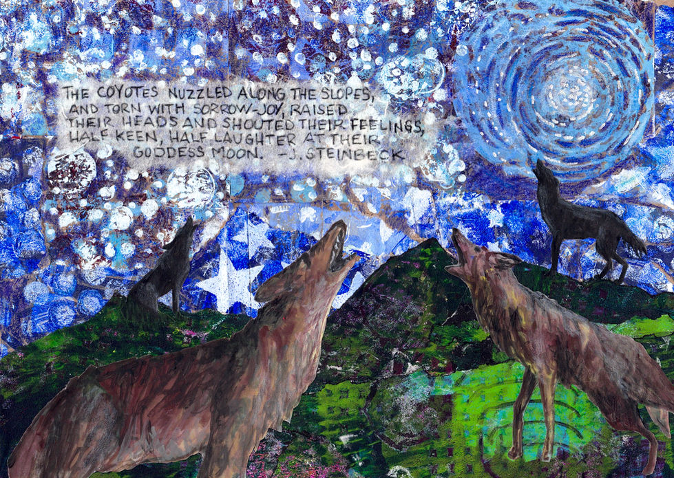 Coyote Song