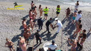 Cetraro, torna in mare la tartaruga "Venus" recuperata con un amo in gola