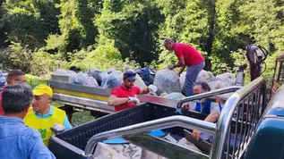 Belvedere Marittimo, SP 263: volontari contro le discariche abusive