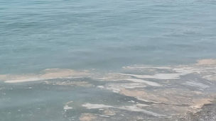 Alto Tirreno: le prime schiumette in mare: i sindaci Madeo e Perrotta chiamano in causa la Regione