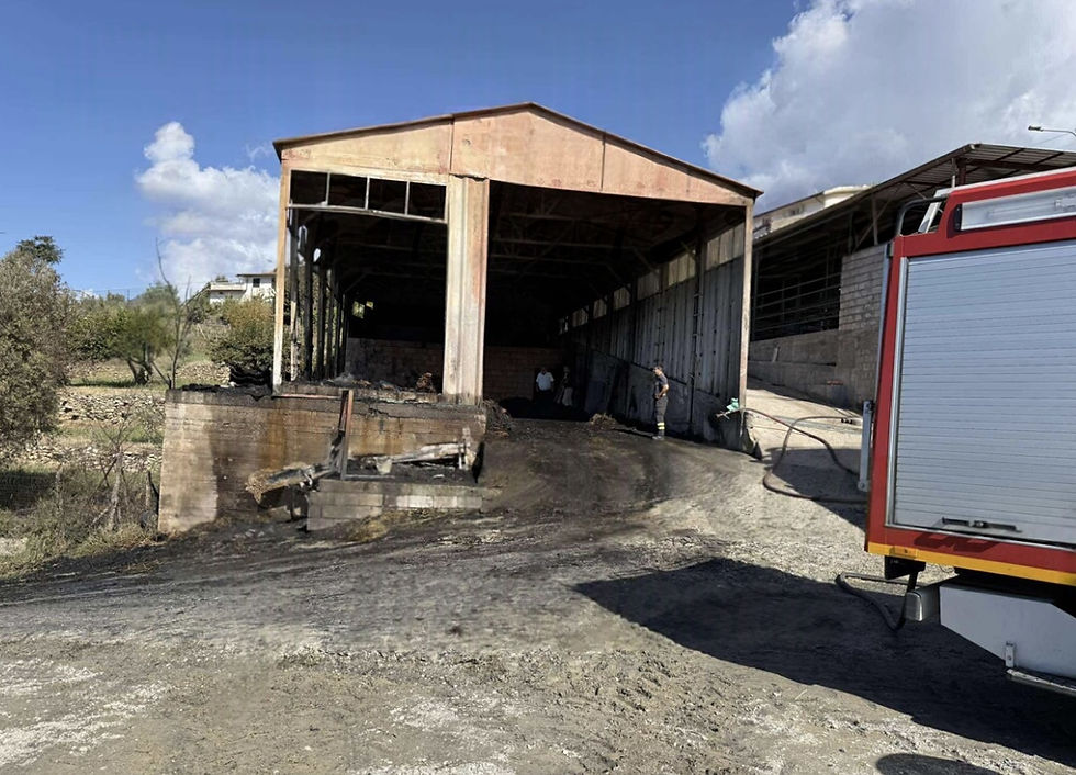 Incendio in un capannone a Fuscaldo morti quattro cavalli