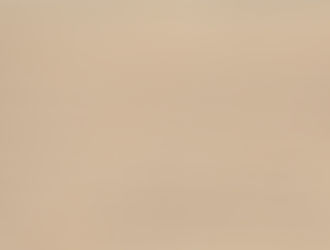 Documenti originali di Gino Iannelli sulla pionieristica addominoscopia