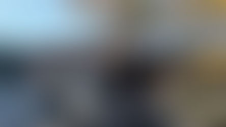 Auto distrutte da incendio notturno a Santa Domenica Talao