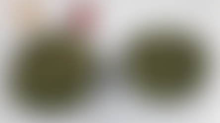 Quattro giovani con 2 Kg di marijuana; arrestati a Corigliano Rossano