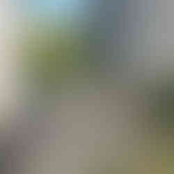 A Luzzi, sequestrato il depuratore dai carabinieri forestale di San Pietro in Guarano