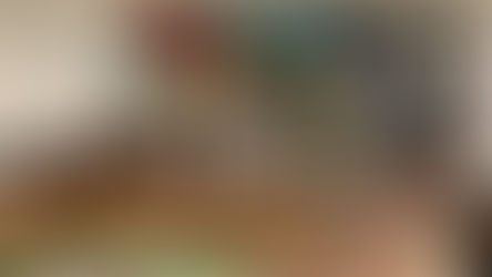 Regione, la commissione si è svolta: le scuse di De Caprio alle forze dell'ordine