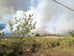 Incendio a Santa Domenica Talao con fiamme e fumo visibili dal centro abitato