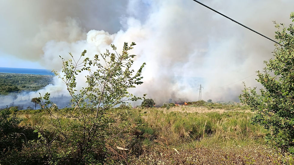 Incendio a Santa Domenica Talao con fiamme e fumo visibili dal centro abitato