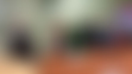 Incontro sulle concessioni balneari: Forza Italia al fianco degli operatori